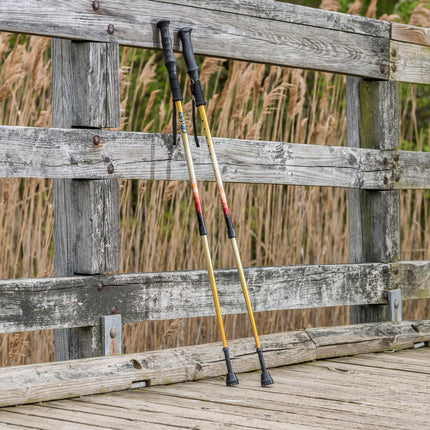 Summit Walking Poles