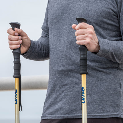 Summit Walking Poles